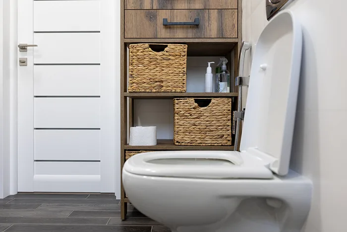 Professional Plumbing Services
